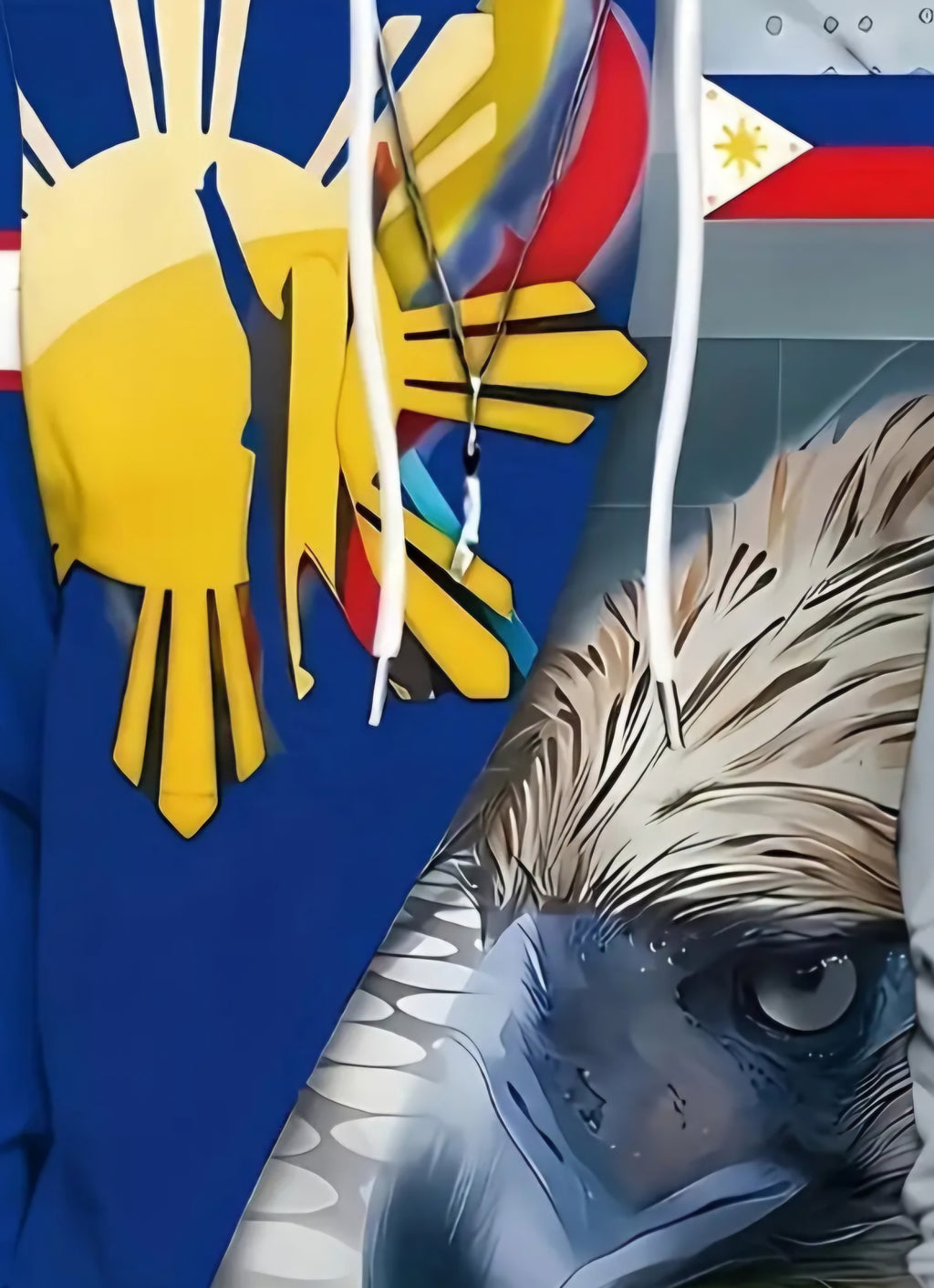Philippines Hoodie